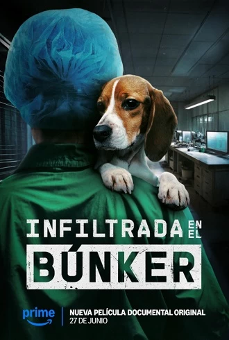 Infiltrată în buncăr