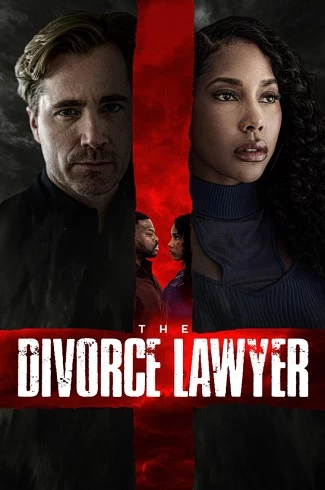 The Divorce Lawyer vezi online