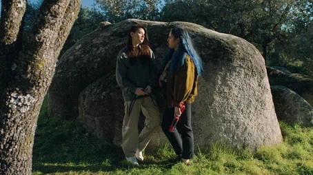 Cum vânezi un agresor